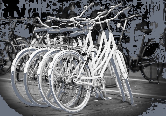 Die besten Birdy Fahrrad Händler in Deutschland