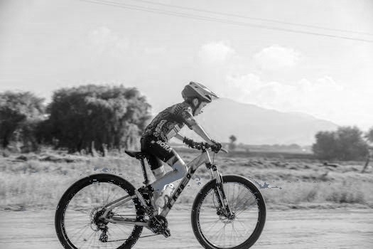 Birdy Fahrrad: Modell Y unter der Lupe