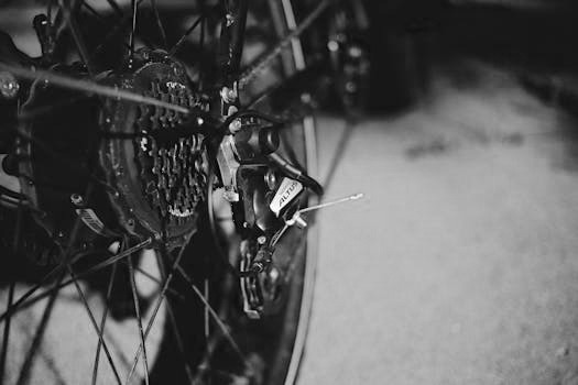 So tunst du dein Birdy Fahrrad richtig