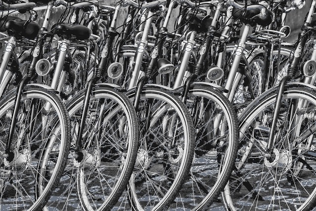 Birdy Fahrradmodelle: Was sind die Unterschiede?