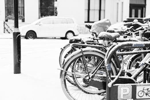 Birdy Klapprad im Winter: So machst du es winterfest